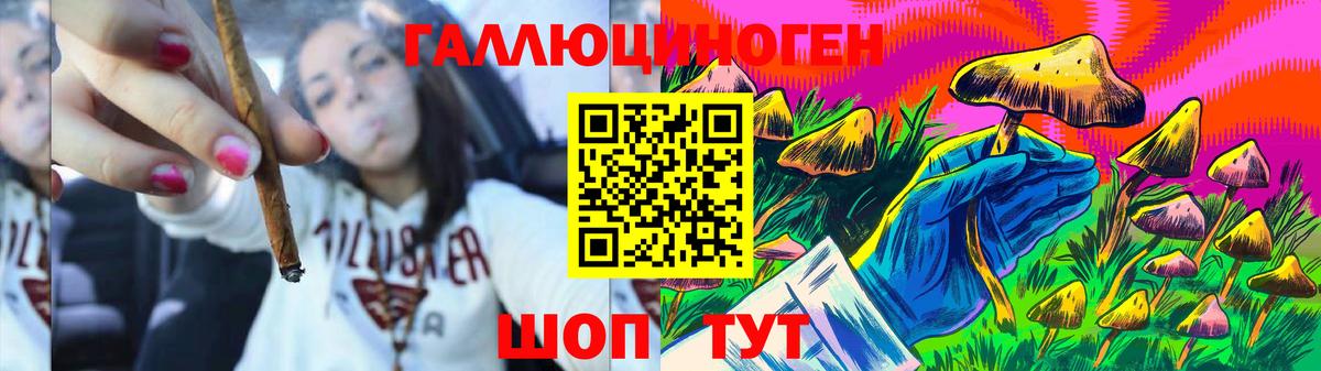Псилоцибиновые грибы Psilocybe Ипатово